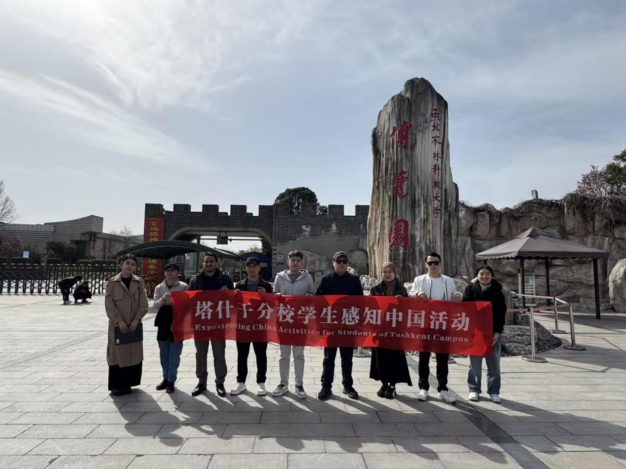 3457e3d231e526a4f99d7dcf06243252